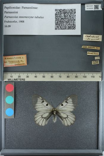 Media type: image;   Entomology 180099